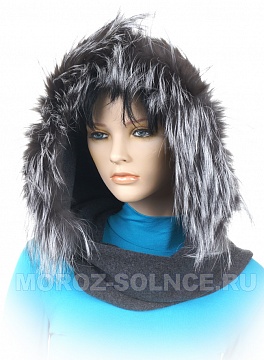 Изображения SOFIA 15-ЧЕРНОБУРКА